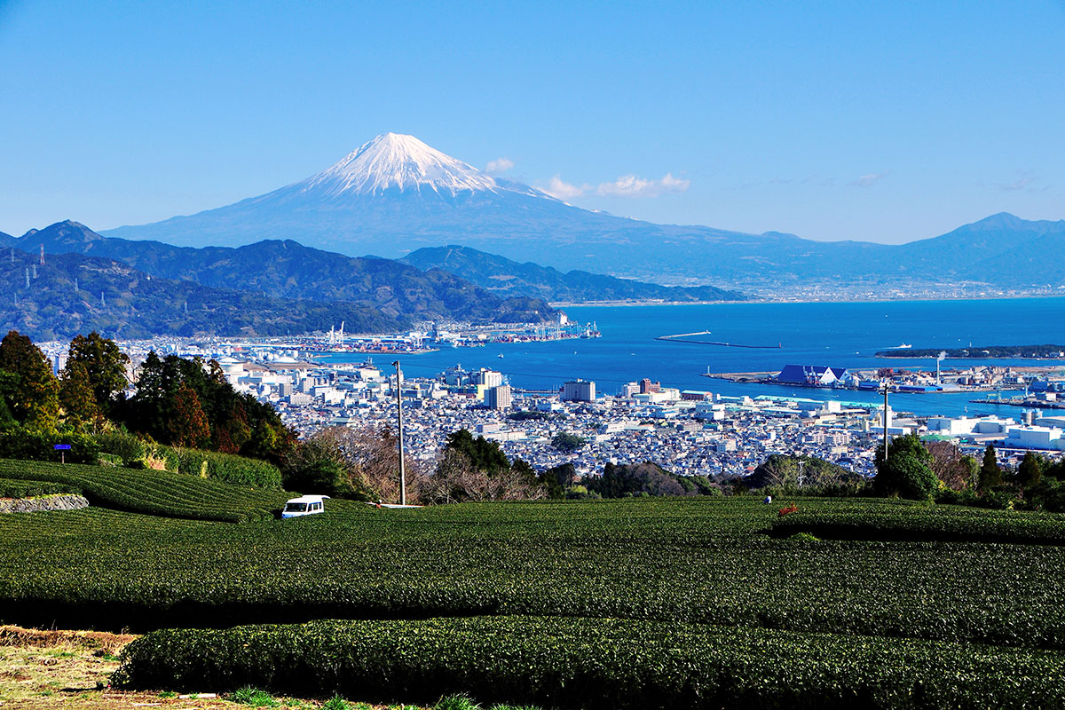 静岡県静岡市 日本平からの茶畑と富士山